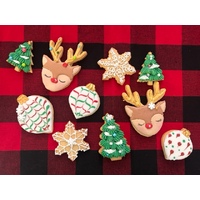 Kids Class: Royal Icing Cookies 10/12/24 Pm