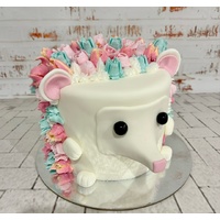 7/6/25 Hedgehog Cake Class